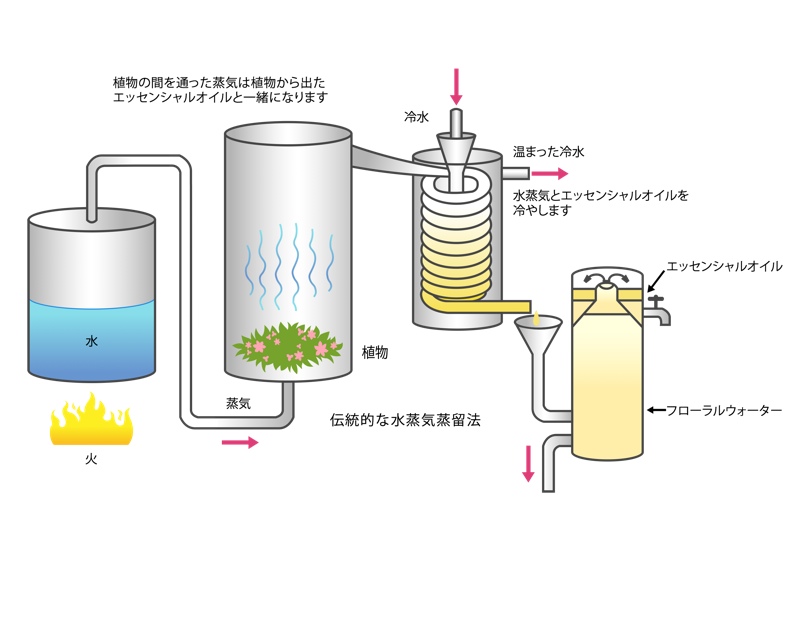 传统的水蒸气蒸馏法